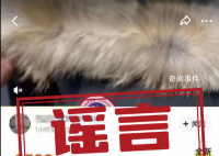 捐贈震區羽絨服被倒賣系謠言 用戶惡意營銷引流