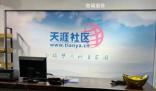 天涯創始人劇透天涯明年重啟
