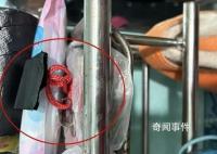 男子入室盜竊將贓款藏進馬桶 案件正在進一步偵辦中