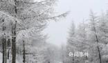 雪后五臺山是仙境吧 目及之處都是精致的美景