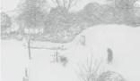 “王炸”級寒潮 塔克拉瑪干沙漠迎來今冬首場降雪