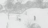 “雪窩”威海暴雪持續:已下三天三夜