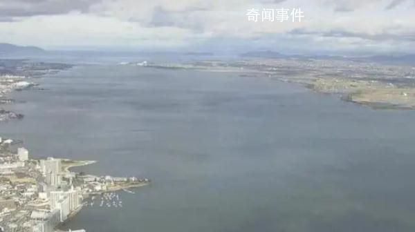 日本最大湖泊大量水鳥(niǎo)死亡 目前原因不明