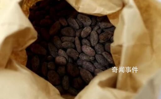 厄爾尼諾現象致商品價格上漲