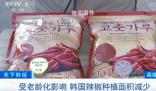 韓國大量進口中國辣椒醬 中國產辣椒醬在韓國賣爆了