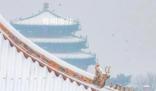 紅墻白雪 故宮的雪景也太美了