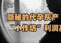 暗訪廣州一代孕灰產機構 利潤高達50%