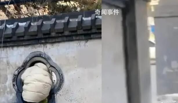 女子拿快遞為抄近路每次都鉆洞 戲稱：你是一點也不往旁邊看啊