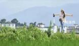 《去有風的地方》獲200萬元補助
