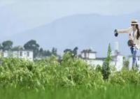 《去有風的地方》獲200萬元補助