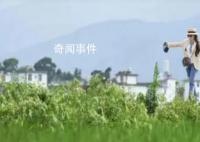 訂婚強奸案后女方家屬想盡快結婚 雙方協商未果
