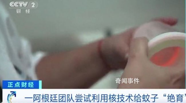 阿根廷用輻射給蚊子做絕育