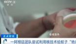 阿根廷用輻射給蚊子做絕育