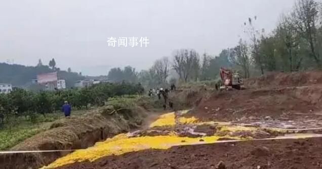重慶6名村民疑似氣體中毒 3人死亡