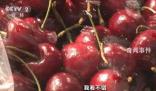 車厘子價格“腰斬” 價格出現明顯下降