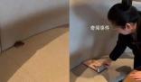 男子遇老鼠霸座 店員:沒老鼠不可能