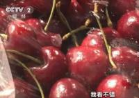 車厘子價格“腰斬” 價格出現明顯下降