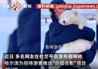 哈爾濱景區回應請白狐迎客:不咬人