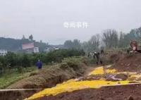 重慶6名村民疑似氣體中毒 3人死亡