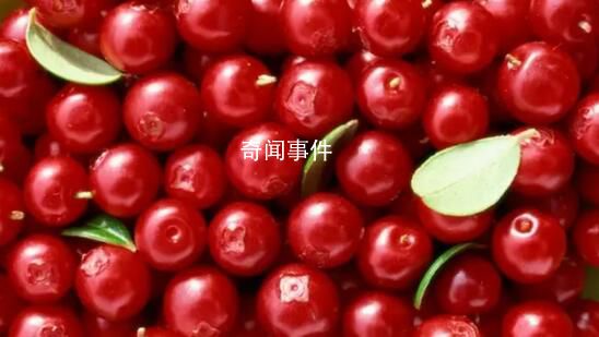 向爾濱的回禮引發全國特產大摸底 不少網友被這個互動暖到
