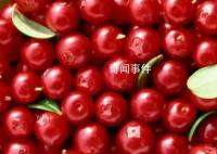 向爾濱的回禮引發(fā)全國(guó)特產(chǎn)大摸底 不少網(wǎng)友被這個(gè)互動(dòng)暖到