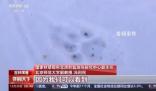 捕食了73號東北豹的東北虎是誰 肇事虎留下足跡