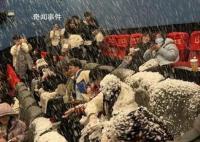 下雪場 尷尬又離譜