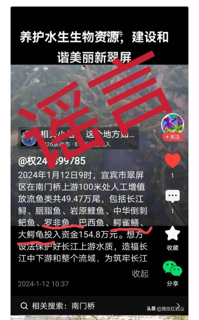 往長江放生鱷雀鱔?宜賓辟謠