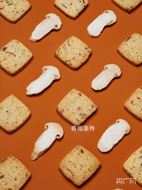 云南西雙版納花式回禮哈爾濱