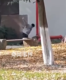 男生校內拳打女友?校方:情侶小糾紛
