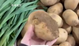 南方的土豆可削皮大蔥按根賣 網友：爾濱啊接下來看你的了