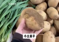 南方的土豆可削皮大蔥按根賣 網友：爾濱啊接下來看你的了