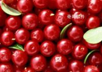 哈爾濱回禮時才知道川川有多陌生