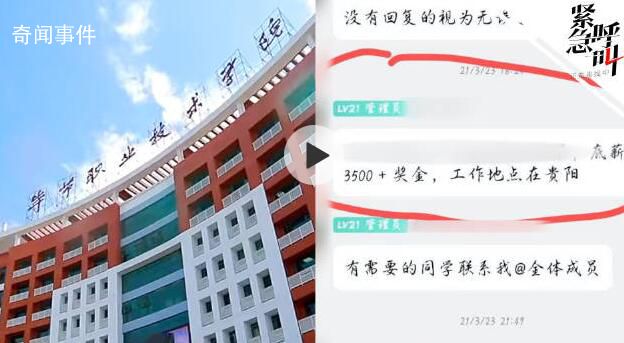 畢業生被學校推薦到電詐公司后獲刑 有責任將提供法律援助和經濟幫扶