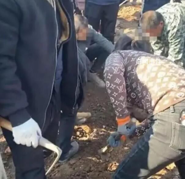 江西一工地疑挖出銀元 官方回應