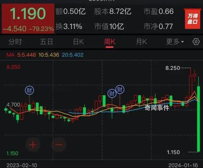樂華股價暴跌 早盤持續走低