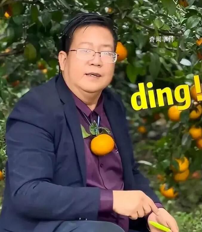 廣西武鳴沃柑“橘長”魔性宣傳