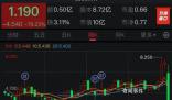 樂華股價暴跌 早盤持續走低