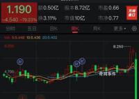 樂華股價暴跌 早盤持續走低