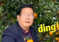 廣西武鳴沃柑“橘長”魔性宣傳
