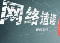 公安查車追車致車輛撞人?