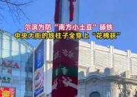中央大街的鐵柱子都被包起來了 引起了廣大公眾的關注和熱議