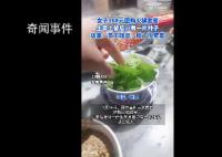 168元火鍋套餐生菜只有1片葉子 感覺坑人