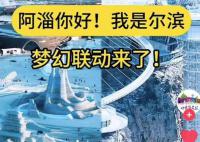 淄博文旅副局長:對比哈爾濱有差距