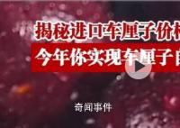 揭秘進口車厘子為何大跳水 今年終于能實現車厘子自由了
