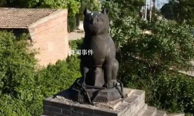 山西鐵貓寺被稱為“貓貓教總部”