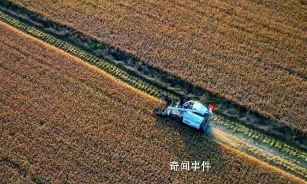 為什么年輕人不愿意種地?官方調研