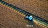 為什么年輕人不愿意種地?官方調研