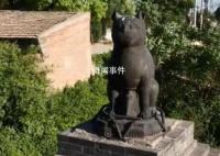 山西鐵貓寺被稱為“貓貓教總部”