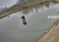 夫妻開車掉池塘站車頂求助像水上漂